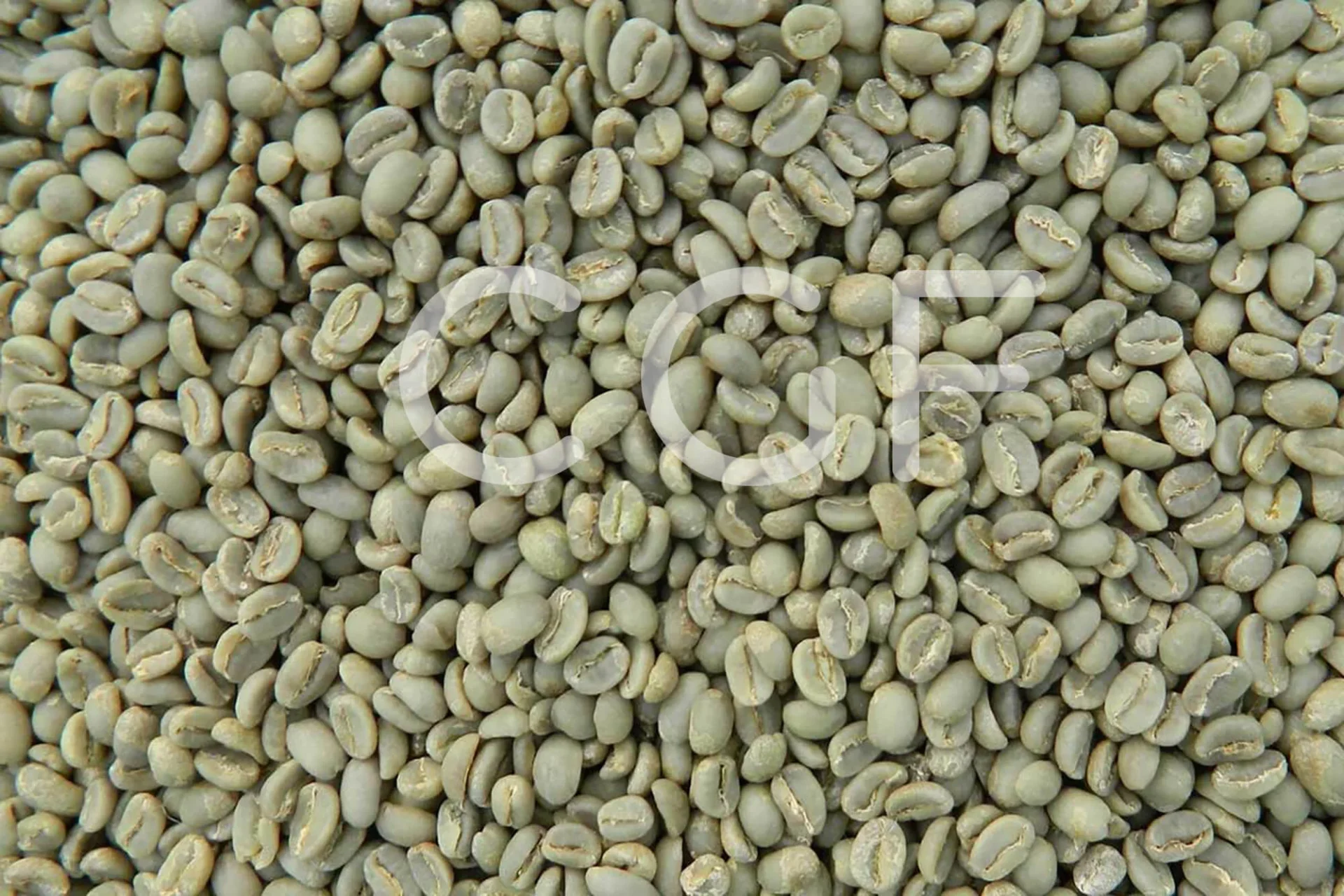 CGF_Export_Ethiopia_Coffee_01