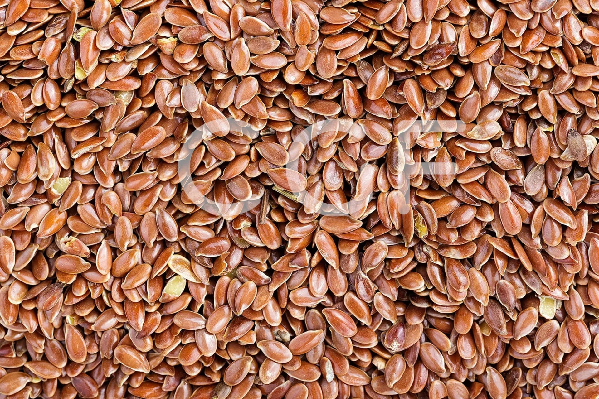 CGF_Export_Ethiopia_Flax-Seed