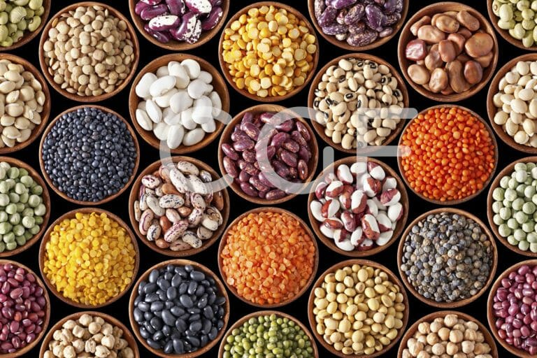 Oil Seeds & Pulses